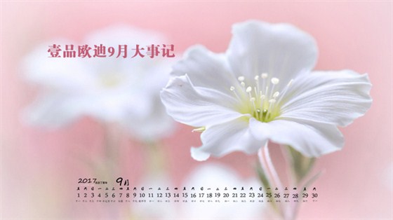 壹品歐迪9月大事記 壹品歐迪9月大事記